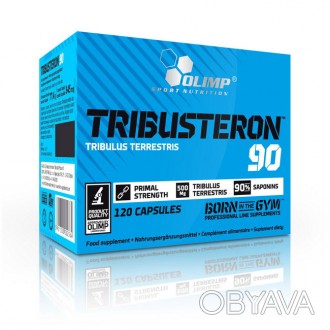 Olimp Tribusteron 90 — полностью натуральный препарат, поддерживающий секрецию т. . фото 1