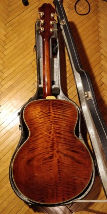 Гитара Арктоп Eastman AR-800+Skysonic Pro-1. Кропивницький. фото 1 Гитара Арктоп Eastman AR-800+Skysonic Pro-1. Кропивницький. фото 1