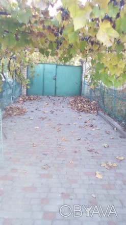Сдаю дом в аренду проживание с хозяйкой Щ балка ост крест