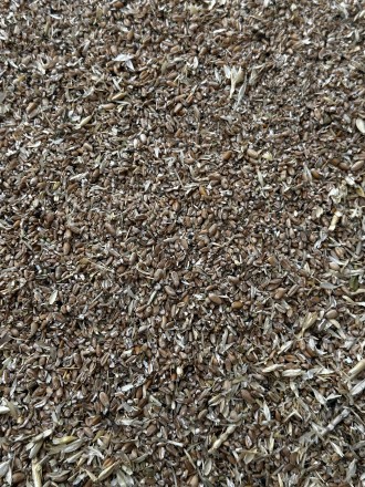 Зерноотходы пшеницы,идеальный корм для сельхоз животных,есть доставка при заказе. . фото 3