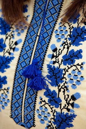 
Колоритна жіноча блуза з вишивкою чудового синього відтінку.
Розміри від XS до . . фото 5