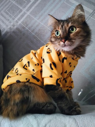 Толстовка для котів (кішок) Лакі Леопард. Така дуже красива та яскрава толстовка. . фото 8
