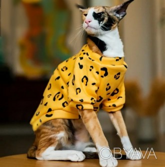 Толстовка для котов (кошек) Лаки «Леопард». Такая очень красивая и яркая толстов. . фото 1