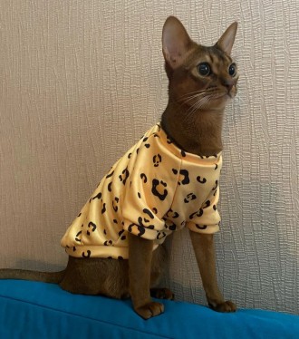 Толстовка для котів (кішок) Лакі Леопард. Така дуже красива та яскрава толстовка. . фото 10