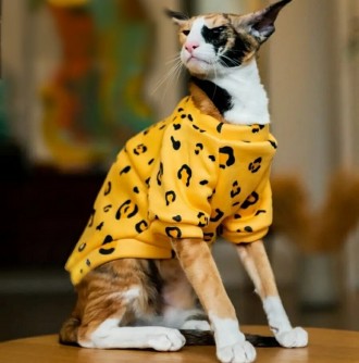 Толстовка для котів (кішок) Лакі Леопард. Така дуже красива та яскрава толстовка. . фото 2