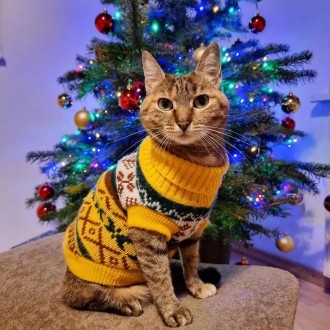Вязаный свитер для котов (кошек) Alfa «Узоры» - свитерок хорошо тянется, очень т. . фото 4