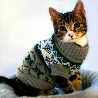 Вязаный свитер для котов (кошек) Alfa «Узоры» - свитерок хорошо тянется, очень т. . фото 3