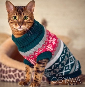 Вязаный свитер для котов (кошек) Alfa «Узоры» - свитерок хорошо тянется, очень т. . фото 1