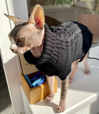 Вязаный свитер для котов (кошек) Alfa «Премиум». Свитерок хорошо тянется, очень . . фото 8