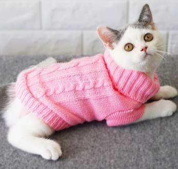 Вязаный свитер для котов (кошек) Alfa «Премиум». Свитерок хорошо тянется, очень . . фото 2