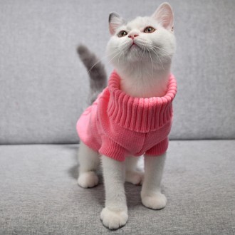 Вязаный свитер для котов (кошек) Alfa «Премиум». Свитерок хорошо тянется, очень . . фото 9