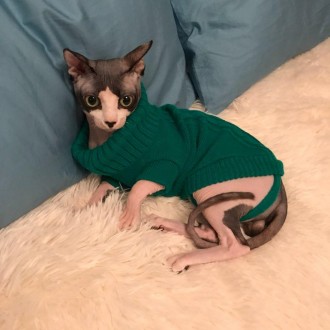 Вязаный свитер для котов (кошек) Alfa «Премиум». Свитерок хорошо тянется, очень . . фото 10