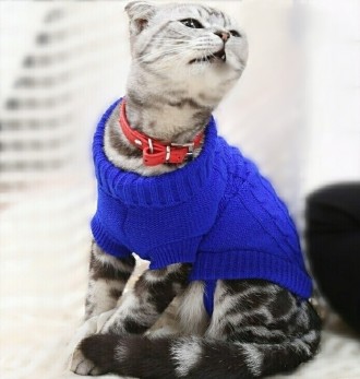 Вязаный свитер для котов (кошек) Alfa «Премиум». Свитерок хорошо тянется, очень . . фото 2