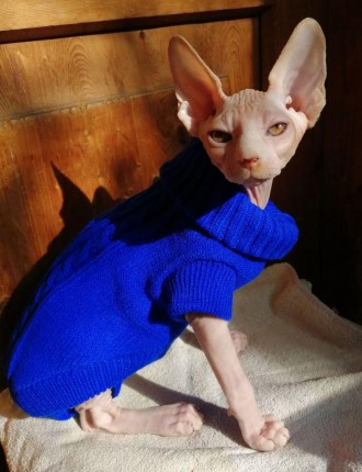 Вязаный свитер для котов (кошек) Alfa «Премиум». Свитерок хорошо тянется, очень . . фото 7