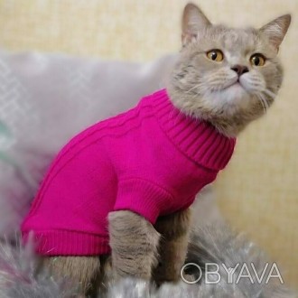 Вязаный свитер для котов (кошек) Alfa «Премиум». Свитерок хорошо тянется, очень . . фото 1