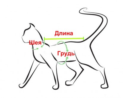 Джемпер для котов (кошек) Alfa «Classic». Кофточка выполнена из трикотажа, внутр. . фото 10