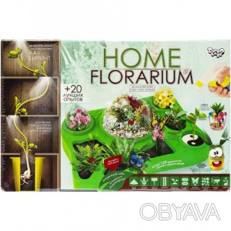 Безпечний освітній набір для вирощування рослин "HOME FLORARIUM" - ботанічний са. . фото 1