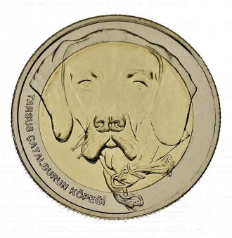 Красива монета в 1 куруш Туреччини 2021 року з серії Фауна Туреччини - Каталбуру. . фото 2