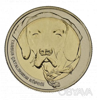Красива монета в 1 куруш Туреччини 2021 року з серії Фауна Туреччини - Каталбуру. . фото 1