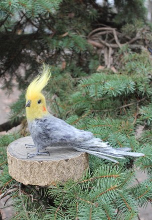 Попугай Корелла сірий голова повернута влево реалістична валяна пташка іграшка з. . фото 12