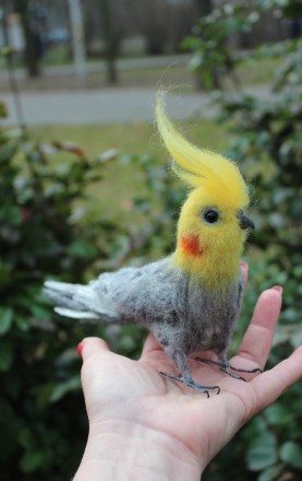 Попугай Корелла сірий голова повернута влево реалістична валяна пташка іграшка з. . фото 5