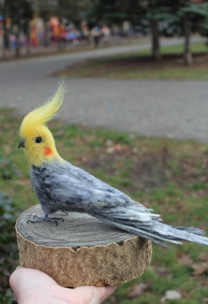 Попугай Корелла сірий голова повернута влево реалістична валяна пташка іграшка з. . фото 9