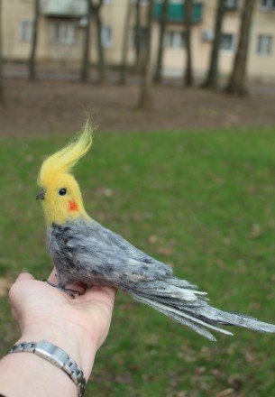 Попугай Корелла сірий голова повернута влево реалістична валяна пташка іграшка з. . фото 2