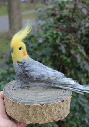 Попугай Корелла сірий голова повернута влево реалістична валяна пташка іграшка з. . фото 11
