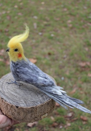 Попугай Корелла сірий голова повернута влево реалістична валяна пташка іграшка з. . фото 4