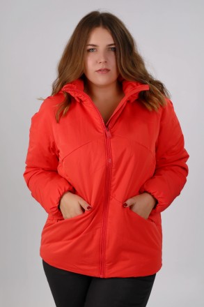 Утепленная женская куртка из прочного нейлона с водоотталкивающими пропитками. З. . фото 3