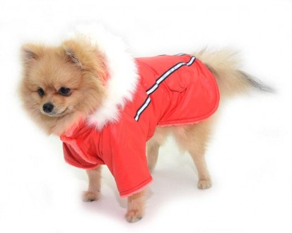 Курточка Осень с капюшоном, для малых пород собак. Курточка выполнена из мягкой . . фото 4