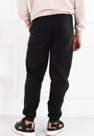 Мужские спортивные брюки на флисе
Размерный ряд: Норма
Цвет: Черный, синий, се. . фото 7