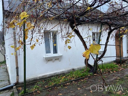 Оренда 4-кімнатного житлового будинку. Житомир, вул. Святослава Ріхтера