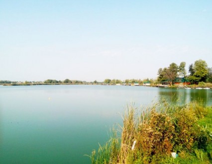 Рыболовная – база отдыха с озером в пригороде Киева 
Продажа,40г (из них 26 га –. . фото 8