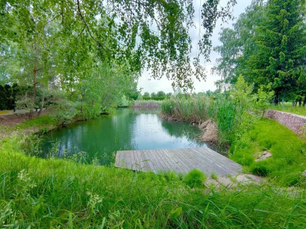 Осокорки возле Днепра,участок 2 га,уникальный.. Киев. фото 1