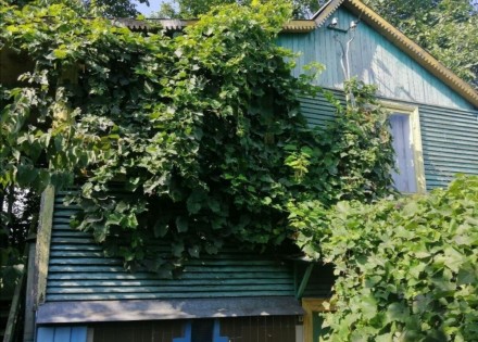 Участок Осокорки 2 км... Киев. фото 1