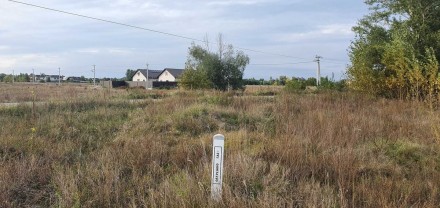 Продам фасадну земельну ділянку в с.Вишеньки, Бориспільського району неподалік к. . фото 14