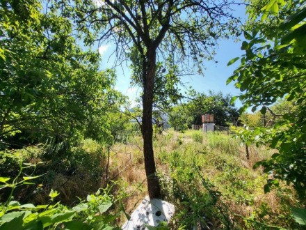 ПРОДАМ участок 6 соток Осокорки... Киев. фото 1