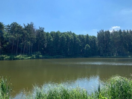 Земельный участок 43га невероятной красоты в п. Ясногородка!.. Ясногородка. фото 1