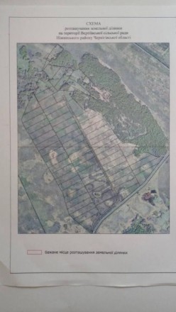 Продам землю Черниговская область к 
1500 гектаров , 800 обробленноі 
700 под по. . фото 8