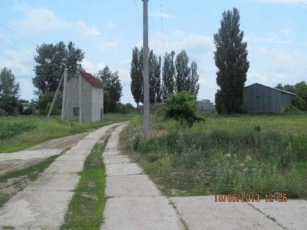 Продажа земли промышленного назначения в Киевской обл. Бориспольском р.. Галинка. фото 1 Продажа земли промышленного назначения в Киевской обл. Бориспольском р.. Галинка. фото 1