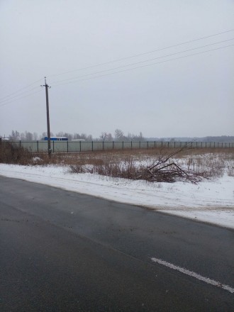 Продается земельный участок 52,63 сотки в с. Шпитьки, Киево-Святошинского района. . фото 8