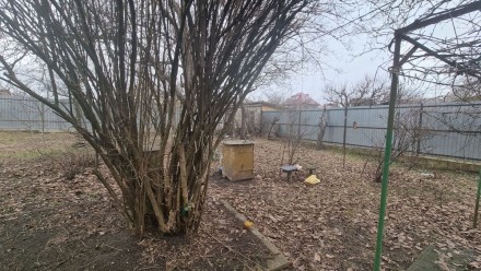 Продам дачный участок на Осокорках. Киев. фото 1