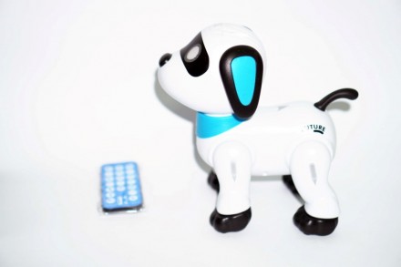 Інтерактивна іграшка Собака Робопес Stunt Dog

Смарт собачка на радіокеруванні. . фото 2