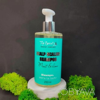 Шампунь для волос и кожи головы Top Beauty Мята-Лайм 250 мл