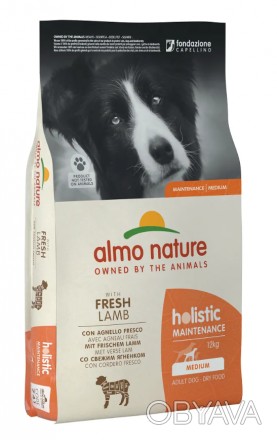 Almo Nature (Альмо Натюр) Holistic Dog M Lamb - Полнорационный сухой корм для вз. . фото 1