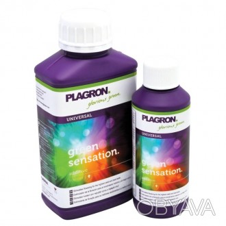 Plagron Green Sensation - мощный усилитель цветения.
Используется для выращивани. . фото 1