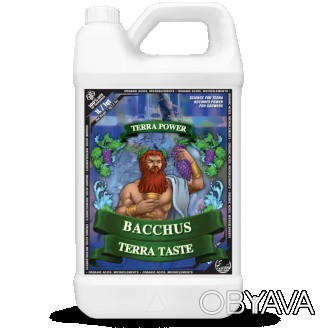 Bacchus Terra Taste дуже потрібний та корисний стимулятор для рослин на основі о. . фото 1