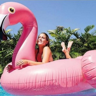 
Надувний плотик Фламінго Intex 57558 (Flamingo Ride-On) подарує масу позитивних. . фото 5