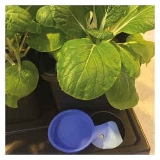 Зручна система гідропоніки Autopot для вирощування рослин на 8 місць.
У комплект. . фото 4